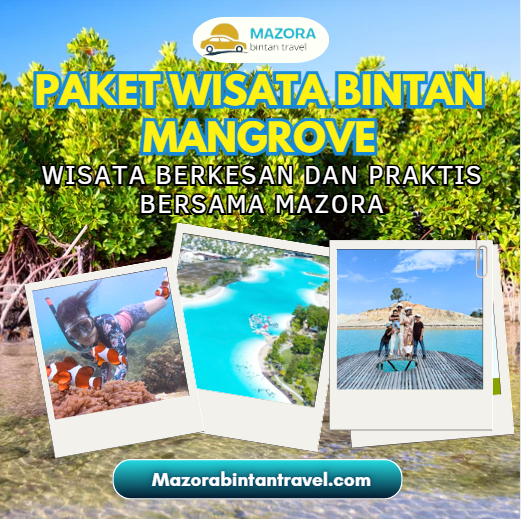 Paket Wisata Mangrove Bintan – Mazora Bintan Travel