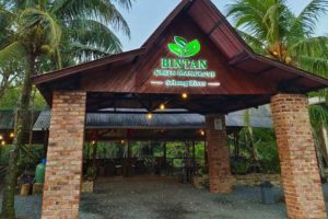 Mangrove Tour Mazora Bintan Travel