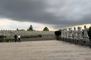 e8102cf2-1c9a-4467-9e76-7fd322509ccb