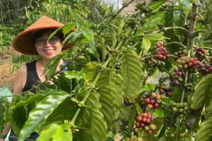 f272dee5-76ee-4837-a173-b4e86d014362